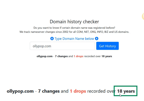 how to use expired domain history checker